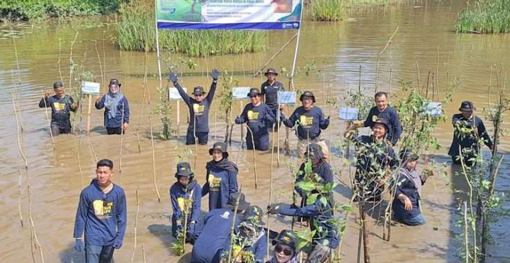 UT Banjarmasin Tanam Ratusan Pohon di Pulau Curiak.